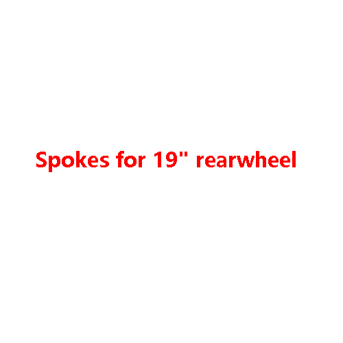 Spokes for 19" rearwheel