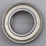 6006 ZZ Bearing