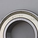 6006 ZZ Bearing