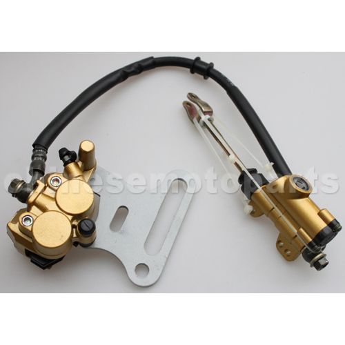 Rear Disc Brake Assy for Dirt Bike - Click Image to Close