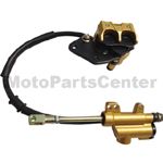Rear Brake Assembly for Dirt Bike - Click Image to Close