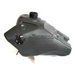 TTR OEM pit bike fuel tank - Click Image to Close