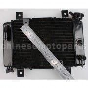 Small Radiator for 200cc-250cc Water-cooled ATV, Dirt Bike & Go