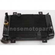 Small Radiator for 200cc-250cc Water-cooled ATV, Dirt Bike & Go