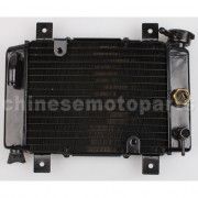 Small Radiator for 200cc-250cc Water-cooled ATV, Dirt Bike & Go