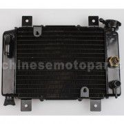 Small Radiator for 200cc-250cc Water-cooled ATV, Dirt Bike & Go