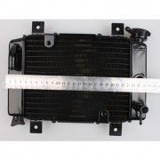 Small Radiator for 200cc-250cc Water-cooled ATV, Dirt Bike & Go