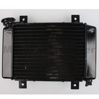 Small Radiator for 200cc-250cc Water-cooled ATV, Dirt Bike & Go