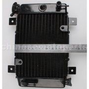 Small Radiator for 200cc-250cc Water-cooled ATV, Dirt Bike & Go