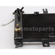 Small Radiator for 200cc-250cc Water-cooled ATV, Dirt Bike & Go