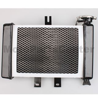 Small Radiator for 200cc-250cc Water-cooled ATV, Dirt Bike & Go