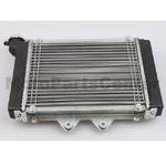 Medium Radiator for 200cc-250cc water-cooled ATV, Dirt Bike & Go