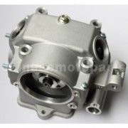 Cylinder Head Assembly for CB250cc Water-Cooled ATV, Dirt Bike &