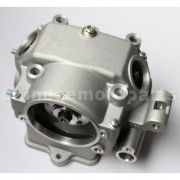 Cylinder Head Assembly for CB250cc Water-Cooled ATV, Dirt Bike &