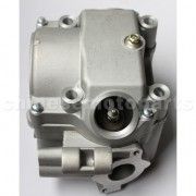 Cylinder Head Assembly for CB250cc Water-Cooled ATV, Dirt Bike &