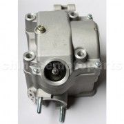 Cylinder Head Assembly for CB250cc Water-Cooled ATV, Dirt Bike &