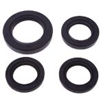 Oil Seal for GY6 125cc-150cc ATV, Go Kart, Moped & Scooter