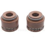 Valve Oil Seal for 110cc ATV, Dirt Bike & Go Kart
