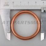 Exhaust Pipe Gasket for Motorcycle