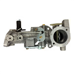 Briggs & Stratton 498298 692784 Tiller 495951 492611 490533 135292 Carburetor
