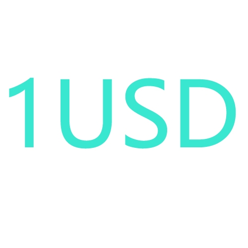 1 USD for payment - Click Image to Close