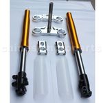 Apollo Front Fork Assembly for 50cc-125cc Dirt Bike