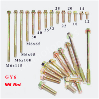 M6x14 Engine Standard Screws for GY6 50-150cc Scooter Moped